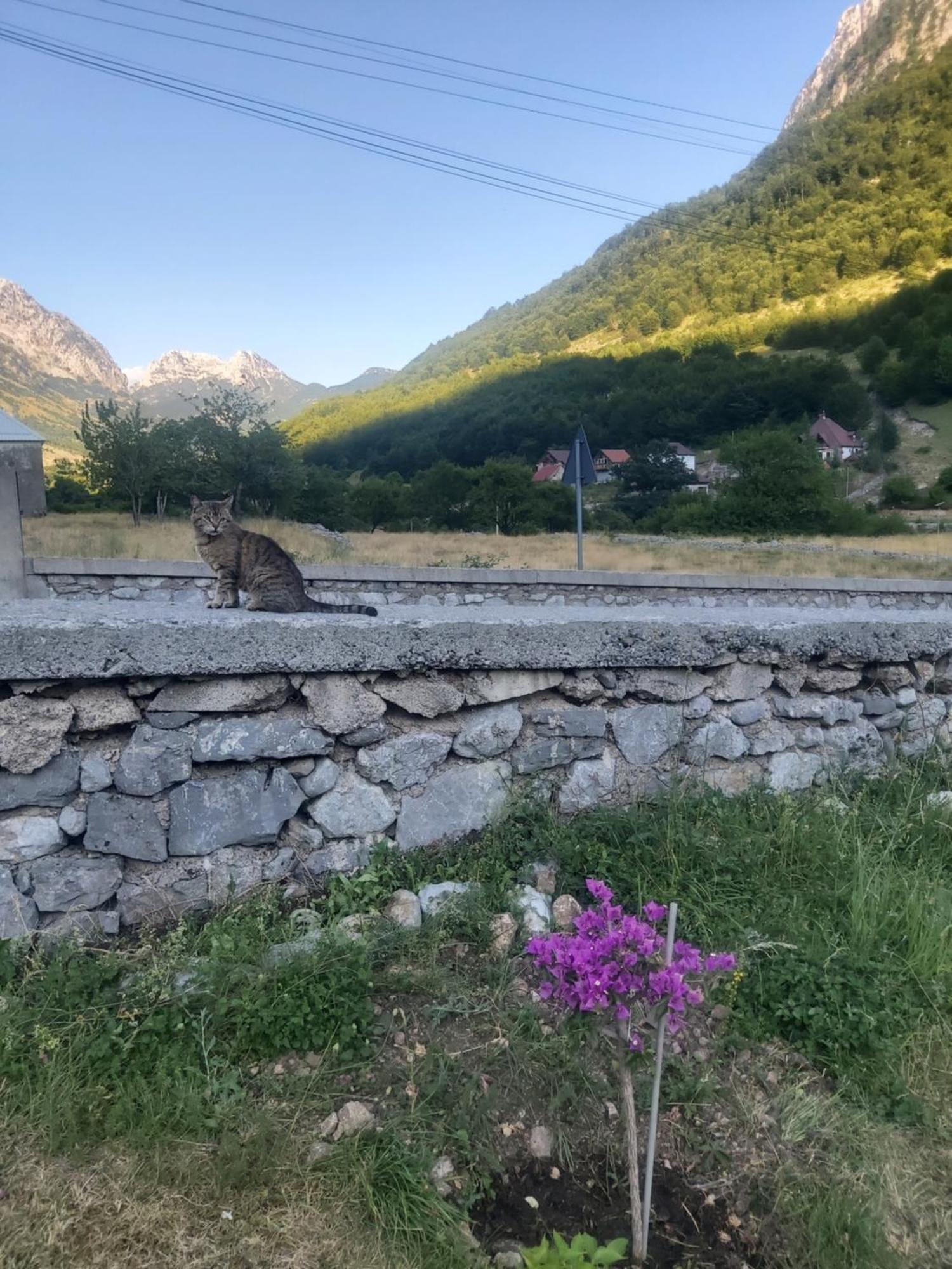 Private Boge Albania